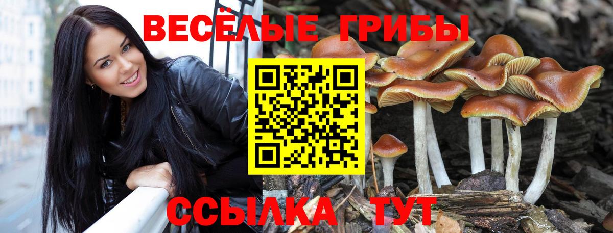 Псилоцибиновые грибы ЛСД  Галлюциногенные грибы прущие грибы  Наро-Фоминск  Вход с VPN 